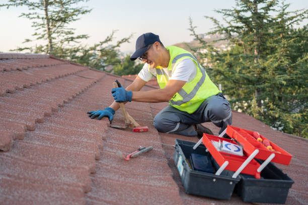Best Flat Roof Repair Services  in Princeton Junction, NJ